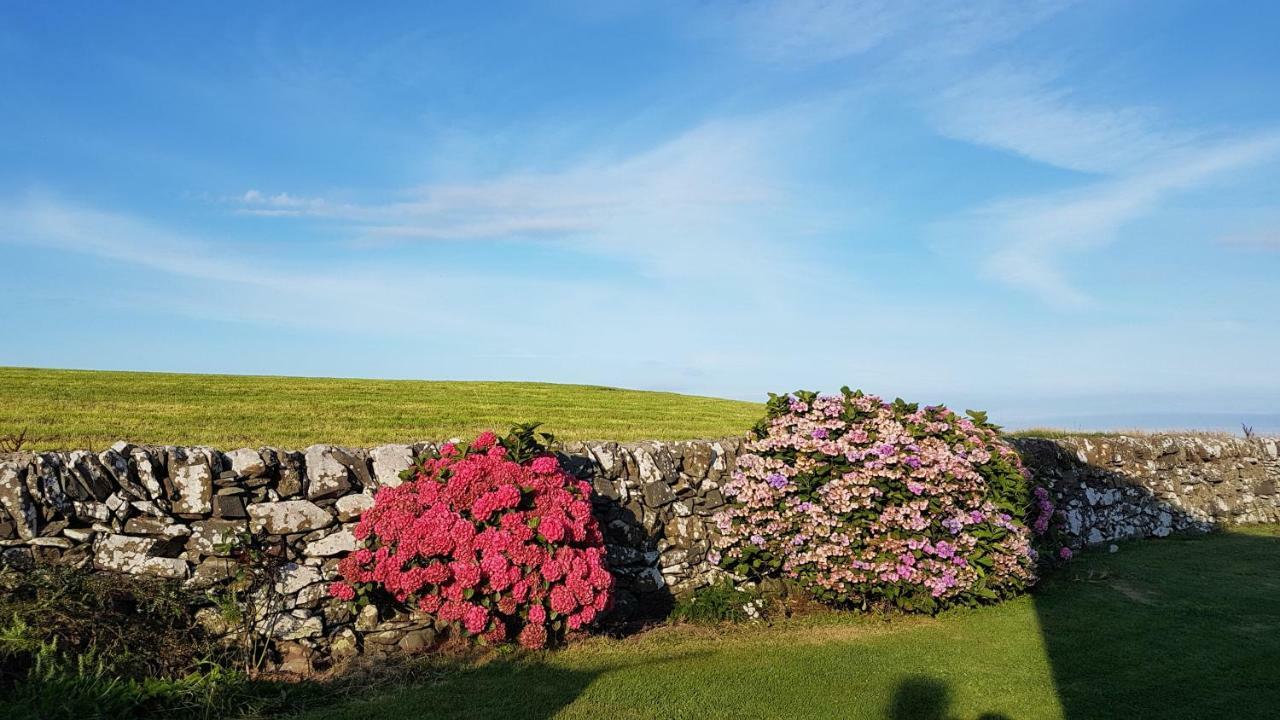 Villa 31 Laigh Isle Isle of Whithorn Exterior foto